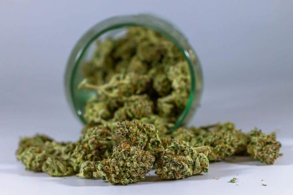 Cannabis Social Club in Malta