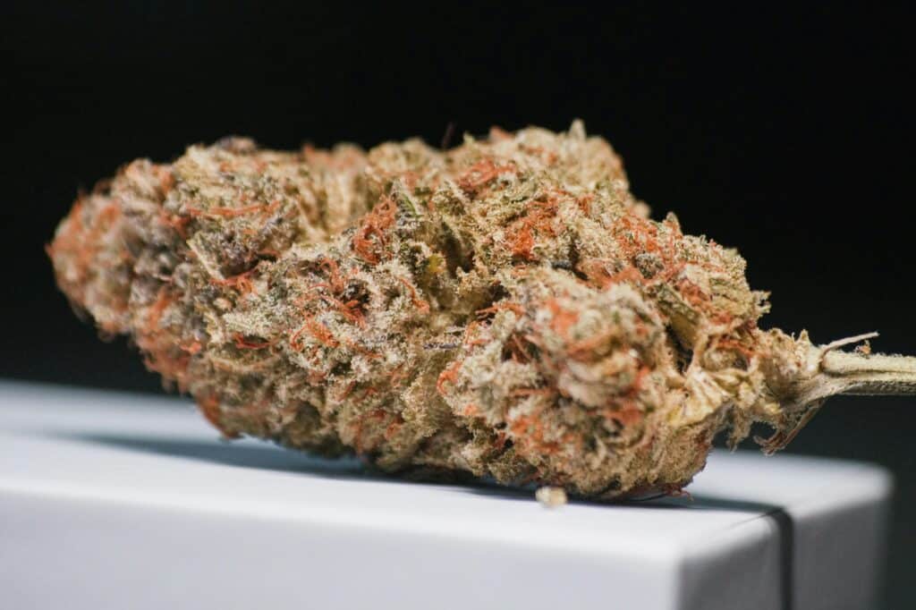 Choose the right cannabis clubs in malta